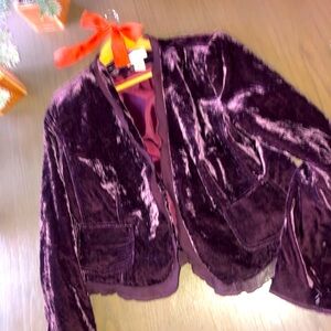 Chadwick’s 💜 purple Velvet Blazer in Rich Purple Sz 14